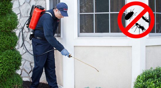 Dedebaşı Akrep İlaçlama böcek ilaçlama ve haşere kontrolü — ilaclama-tr.com